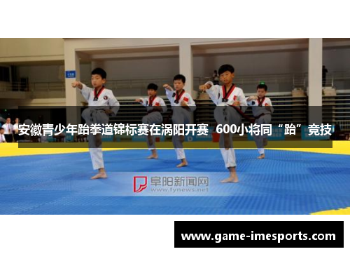 安徽青少年跆拳道锦标赛在涡阳开赛  600小将同“跆”竞技